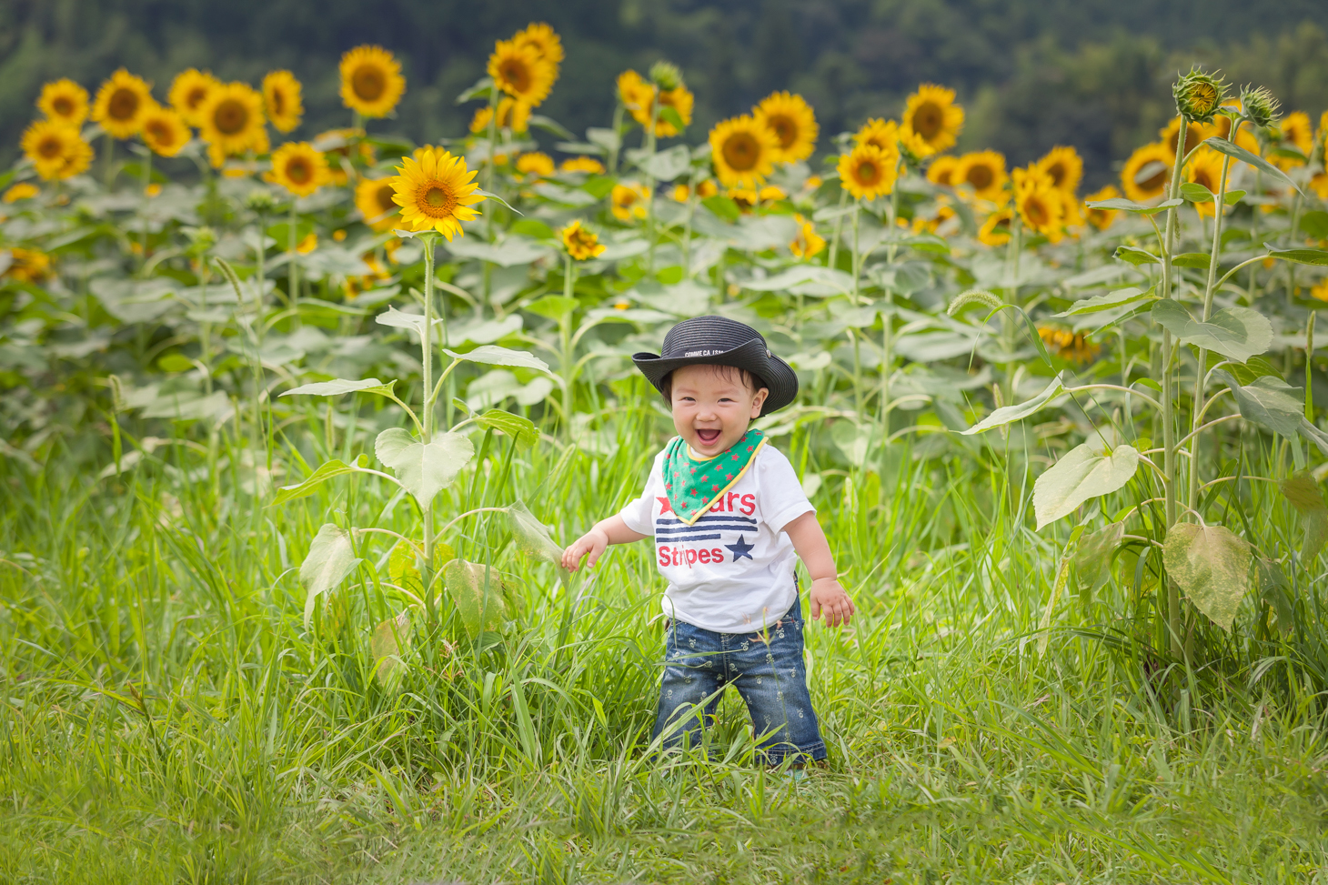 ひまわり撮影会 Mokuren Photo Lab モクレンフォトラボ 愛媛県 ロケーション撮影 家族写真 出張撮影